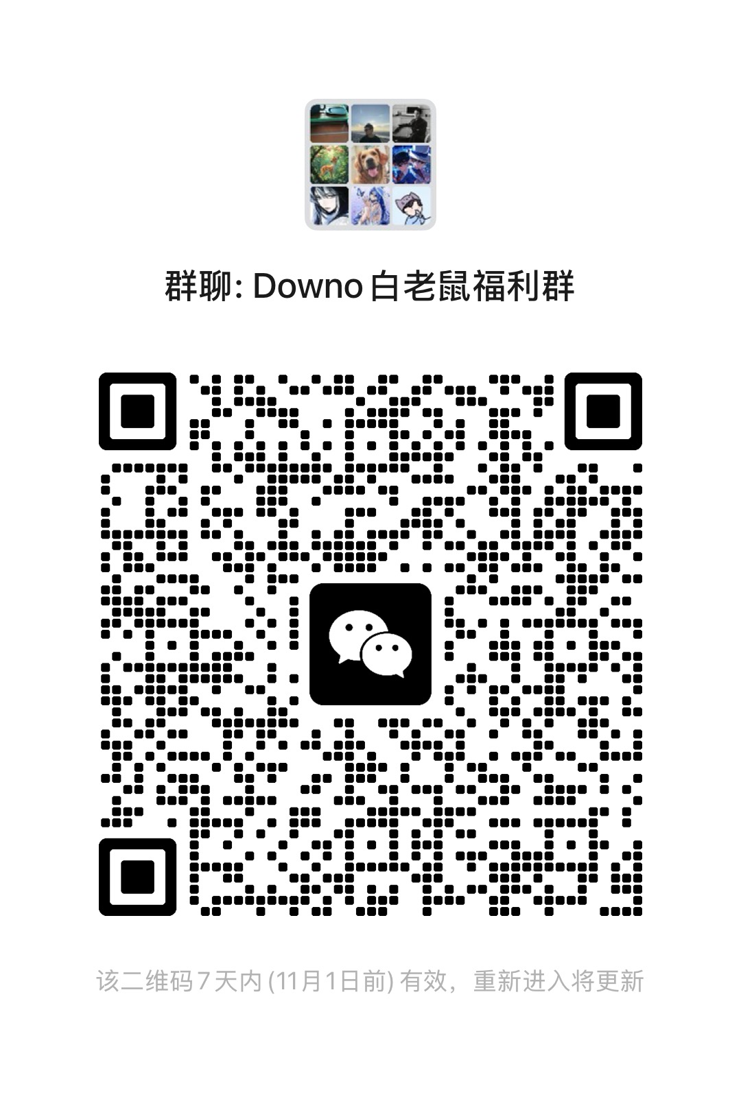 Downo 白老鼠福利群二维码